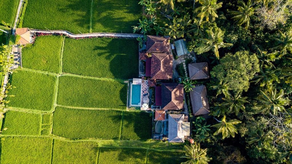 Buorsi from above: the rooms, the pool and the rice fields around them in Ubud, Bali